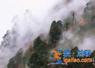 【峨眉山云海時間】什么時候看峨眉山云海最合適，幾月去峨眉山最好？