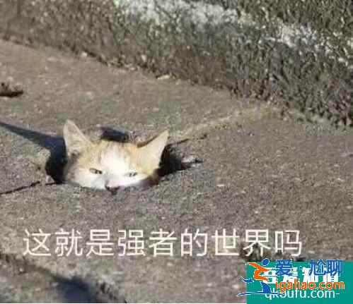 云頂之弈11.10版本最強喪尸法陣容推薦,云頂11.10強勢陣容攻略? 云頂之弈11.10版本最強喪尸法陣容推薦,云頂11.10強勢陣容攻略?