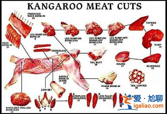 澳大利亞能吃袋鼠嗎,吃袋鼠肉違法嗎? 澳大利亞能吃袋鼠嗎,吃袋鼠肉違法嗎?