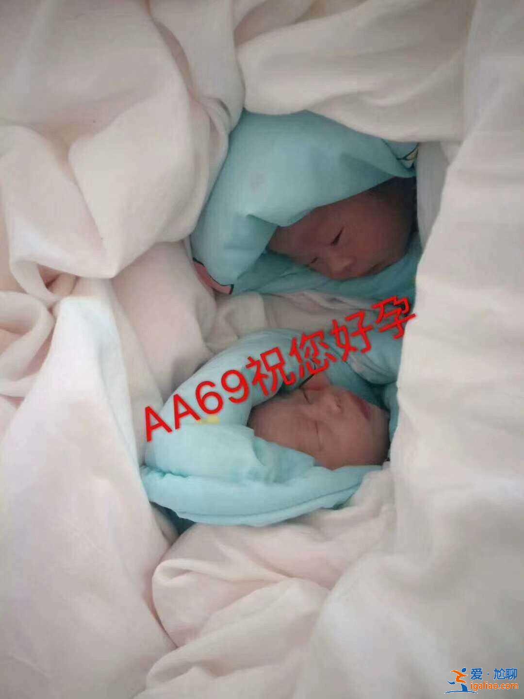 湖南代生寶寶【借卵胚胎】? 湖南代生寶寶【借卵胚胎】?