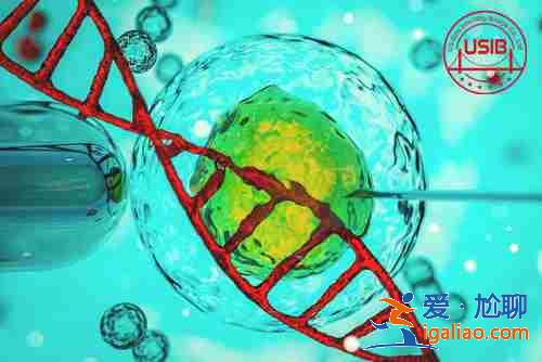 鄭州三代試管包男孩? 鄭州三代試管包男孩?