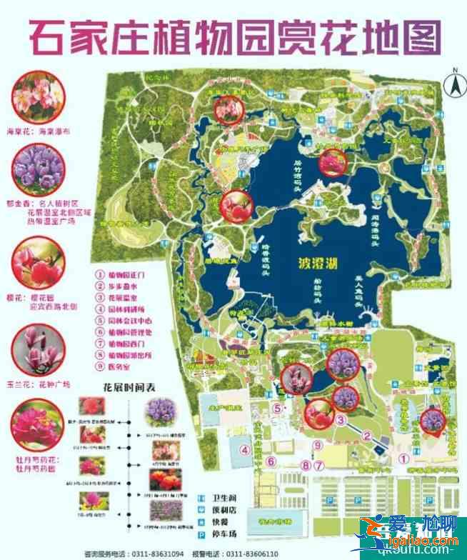 2021石家莊植物園郁金香什么時候開花？
