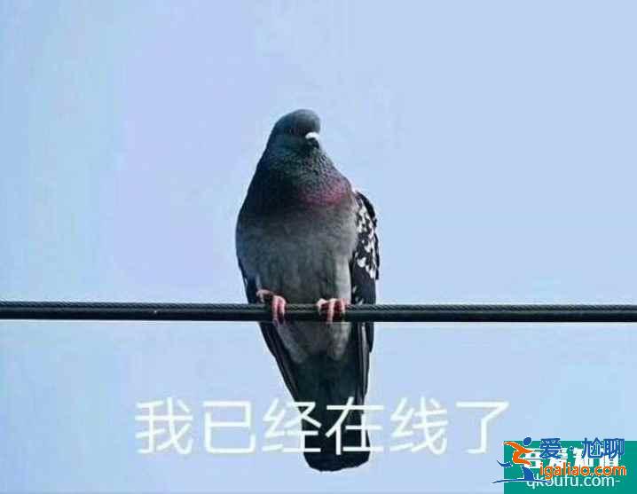 云頂之弈11.10版本最強陣容黑鳥天騎推薦，云頂11.10強勢陣容攻略？