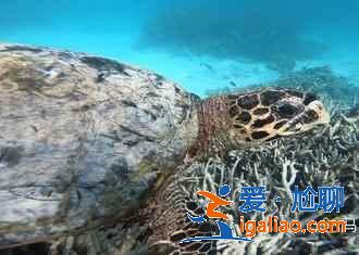 【馬爾代夫住宿】馬爾代夫酒店推薦，馬爾代夫住宿多少錢？