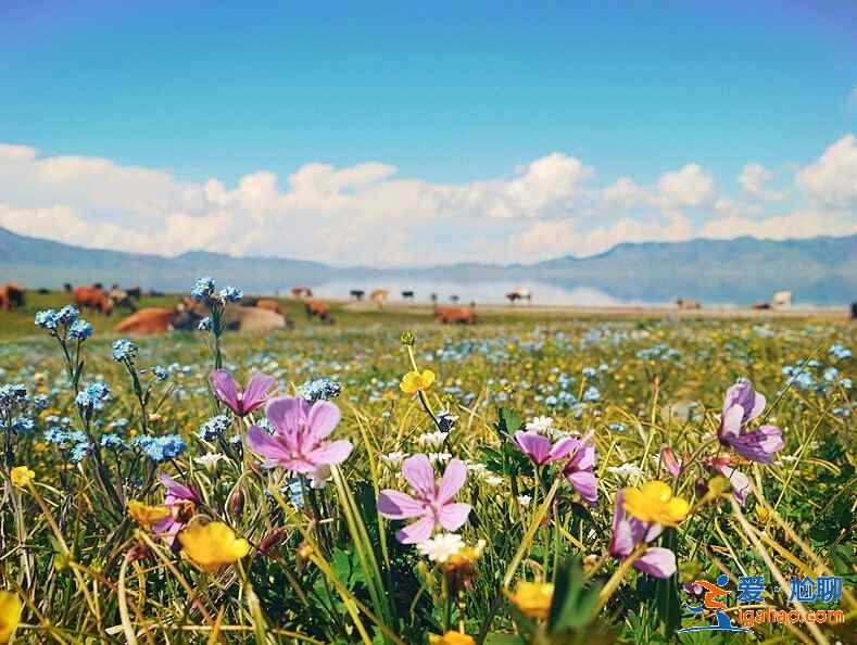 新疆旅游注意事項(xiàng)，去新疆旅游要注意什么？