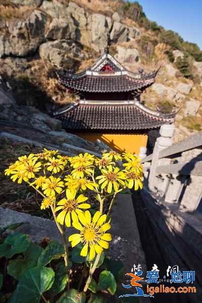 幾月去普陀山最好，普陀山最佳旅游時間？