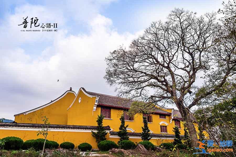 幾月去普陀山最好，普陀山最佳旅游時間？