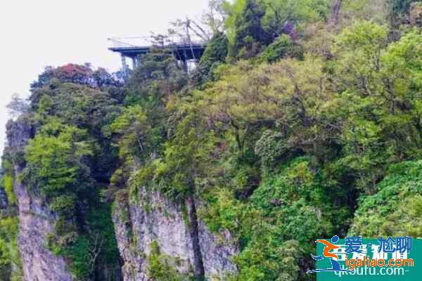 漢中龍頭山景區門票多少錢?怎么走?？