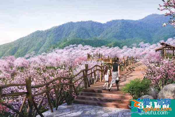 湖州有哪些景點好玩 2021湖州旅游景點推薦? 湖州有哪些景點好玩 2021湖州旅游景點推薦?