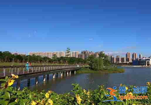 可靠的代媽，愛心助孕流程示意圖？