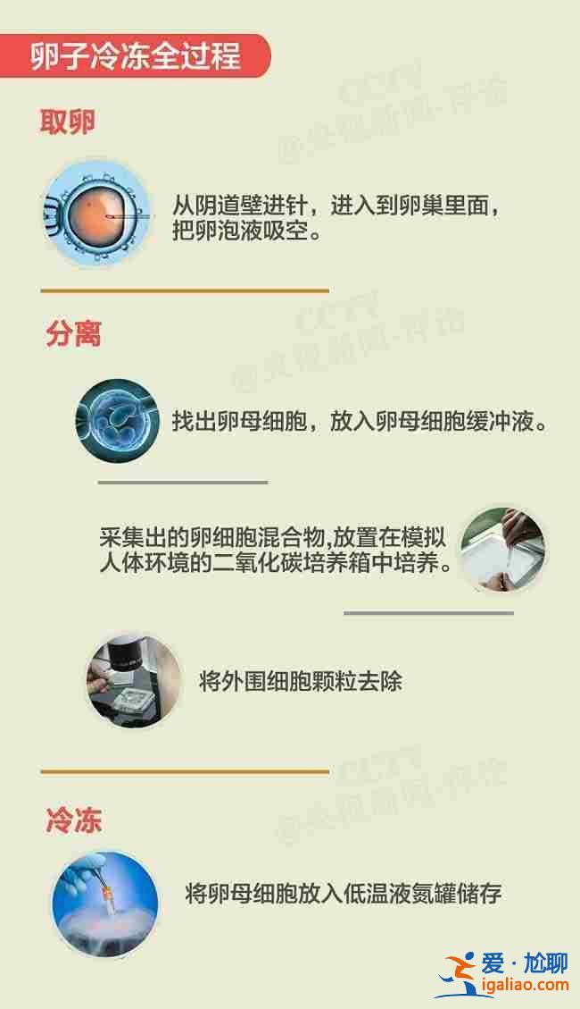 西寧代媽公司？