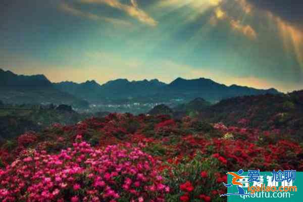 貴州有哪些旅游景點比較好玩？