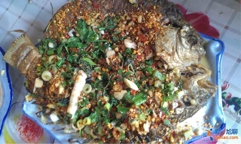 瀘沽湖有什么好吃的,瀘沽湖特色美食推薦? 瀘沽湖有什么好吃的,瀘沽湖特色美食推薦?