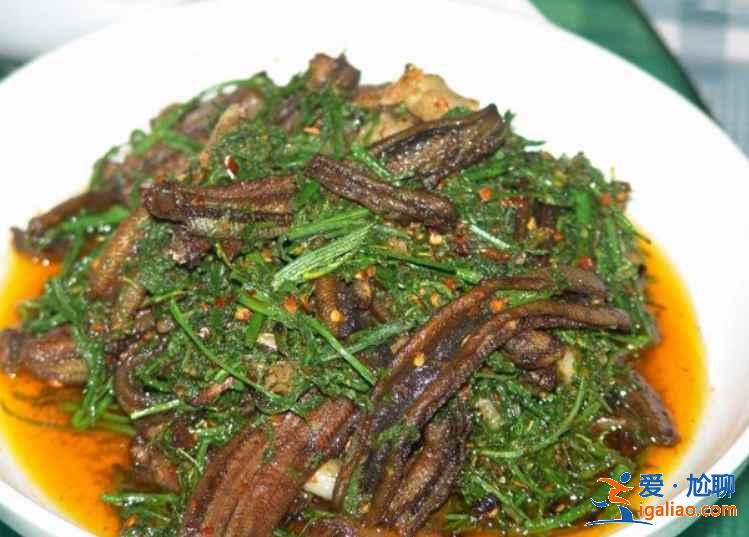 來了西雙版納,這些特色美食一定要試試? 來了西雙版納,這些特色美食一定要試試?