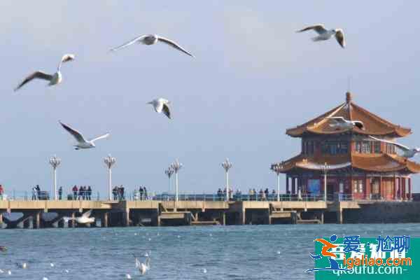 2021青島棧橋五一開放嗎？