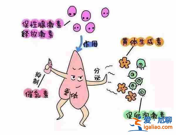 了解一下鄭州50萬找私人代媽「全方位一站式助孕平臺 」？