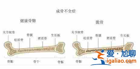 助孕公司價格-記錄孕期的點點滴滴？