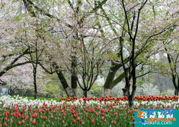 2021太原晉陽湖公園規(guī)劃及新增景點(diǎn)？