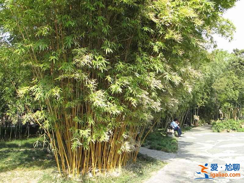 揚州園林有哪些,揚州園林哪個最好玩? 揚州園林有哪些,揚州園林哪個最好玩?