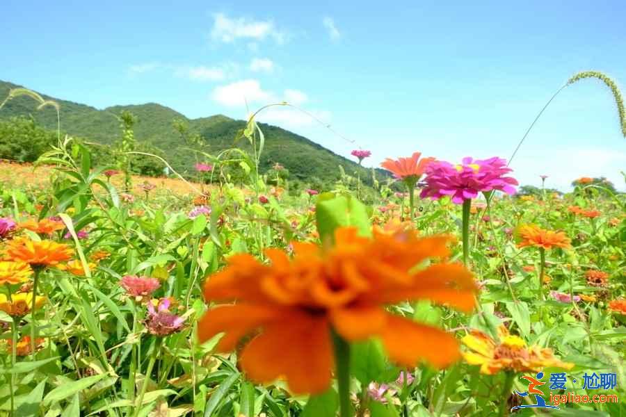 【門票】舟山桃花島門票多少錢，桃花島門票價格？