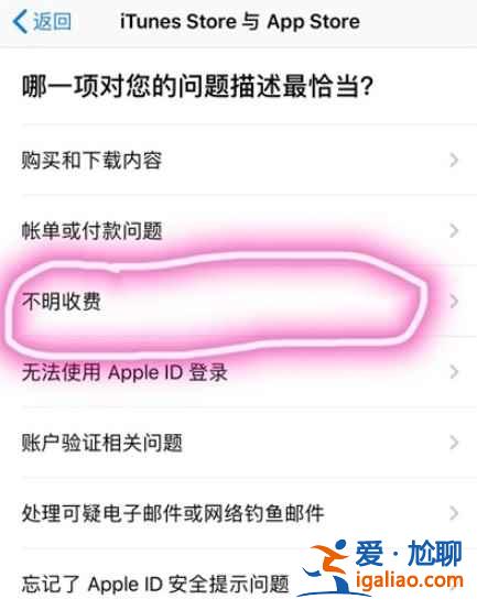 iOS訂閱已扣費的錢怎么看？
