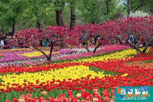 2021年4月16日漢中植物園開(kāi)園試運(yùn)營(yíng)？