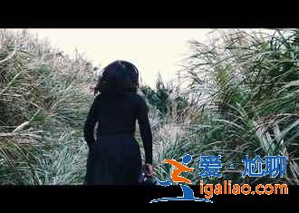 舟山好玩的景點有哪些,舟山哪里好玩,舟山旅游景點攻略? 舟山好玩的景點有哪些,舟山哪里好玩,舟山旅游景點攻略?