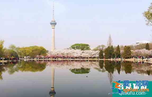 2021年5月玉淵潭公園旅游攻略？