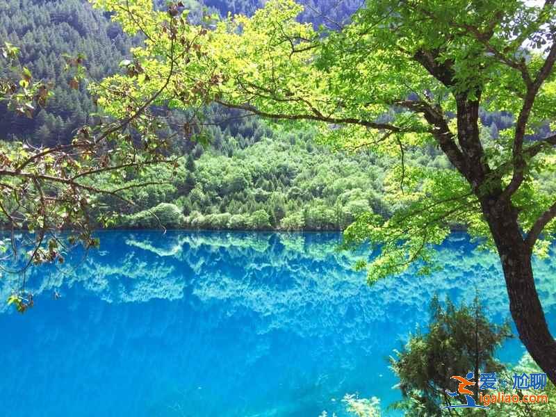 九寨溝不可錯過的景點，九寨溝必去景點，九寨溝必體驗？