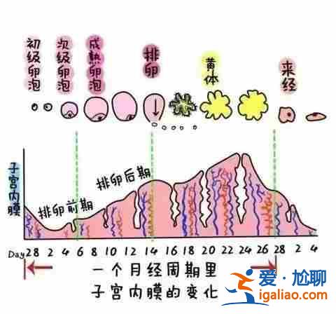 解讀包生男孩交流群[ 愛心助孕 ]？