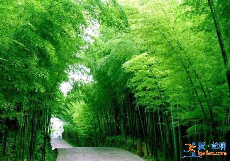 【6月四川旅游】6月去四川哪里旅游最好？