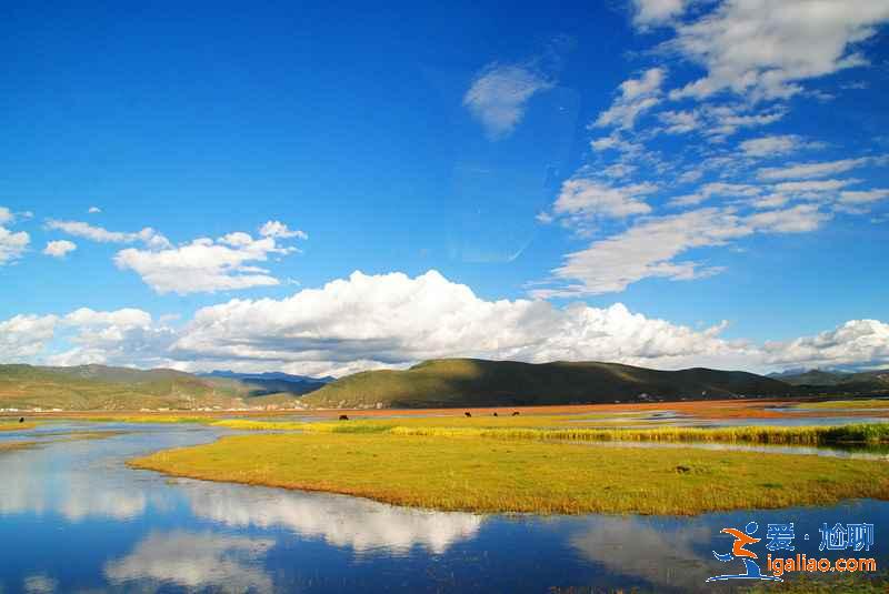轉(zhuǎn)山轉(zhuǎn)水只為遇見(jiàn)你，美麗的香格里拉？