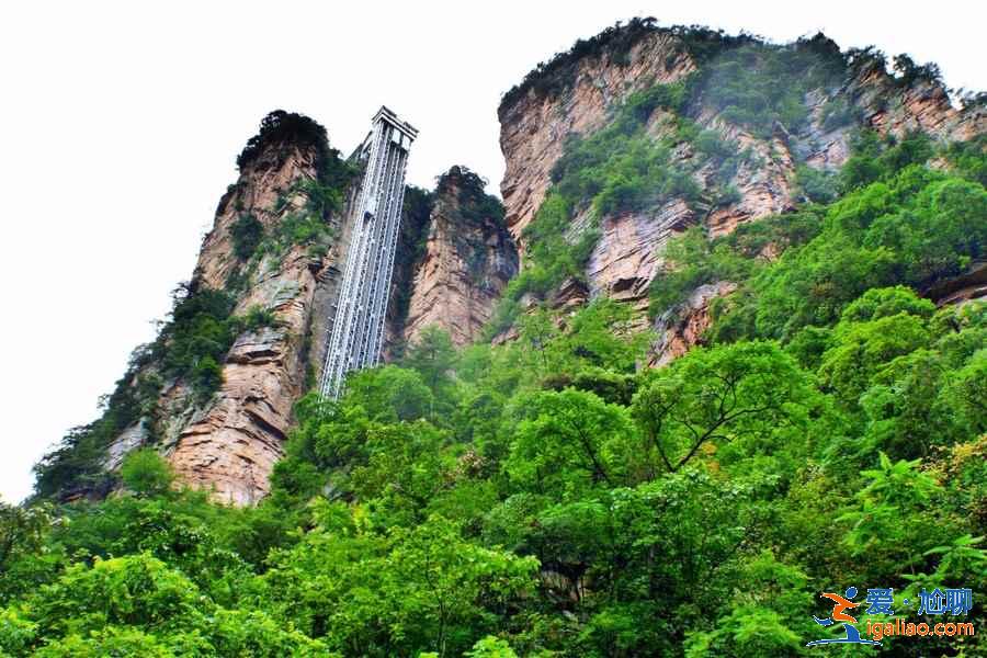 張家界百龍天梯門票價格，百龍天梯門票攻略，百龍天梯門票怎么買？