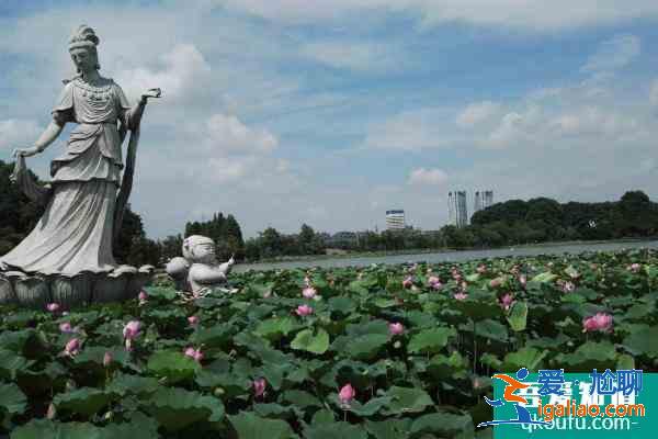 2021南京玄武湖漢服節活動什么時候開始？