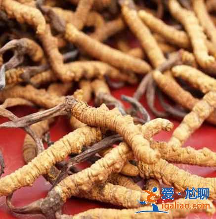 西藏有什么特產，西藏有哪些特產，西藏旅游買什么好？