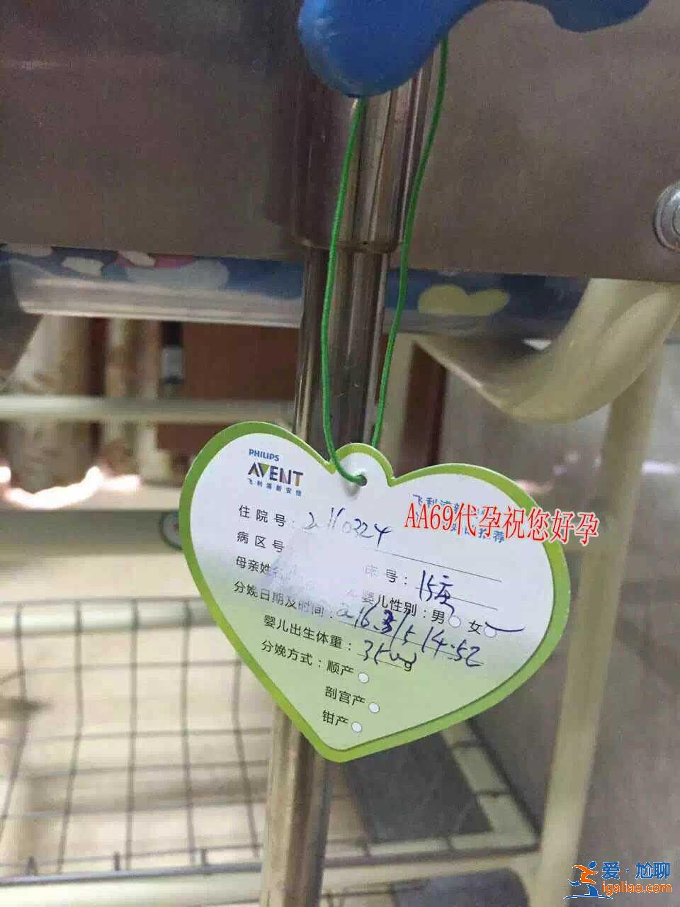 拉薩代生孩子價格？