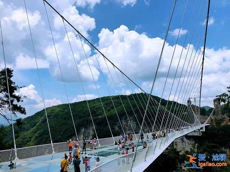 張家界玻璃橋蹦極，張家界現(xiàn)在可以蹦極了嗎，張家界大峽谷玻璃橋可以蹦極嗎？
