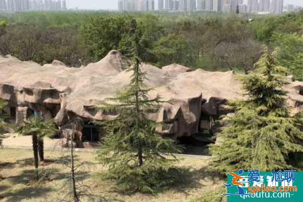 2021合肥野生動物園門票多少一張？