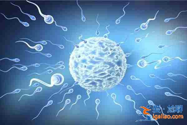 試管嬰兒助孕選性別,吃雪蛤油可以助孕嗎? 試管嬰兒助孕選性別,吃雪蛤油可以助孕嗎?