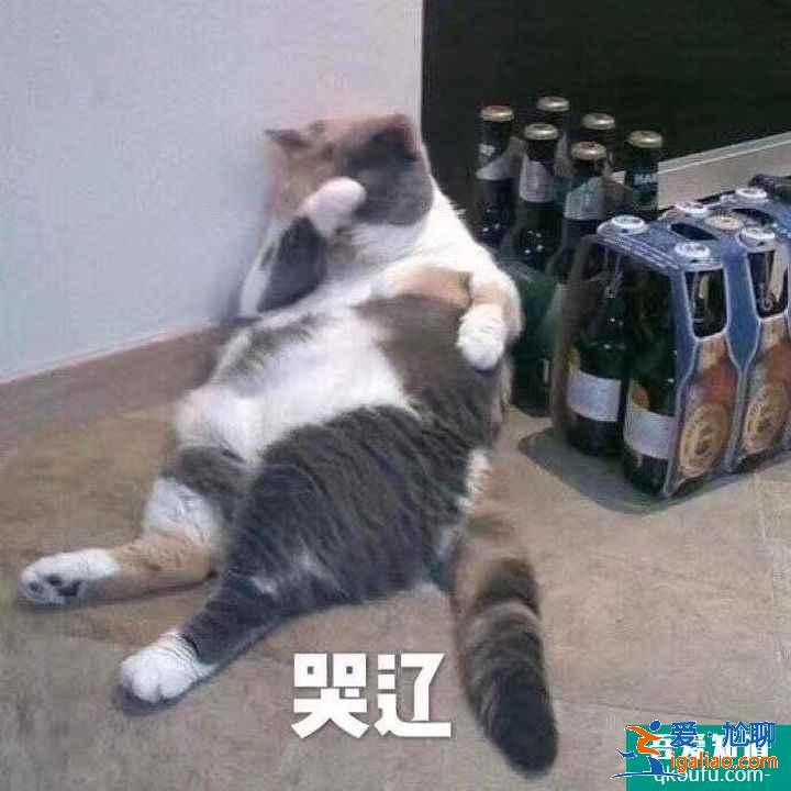 云頂之弈S5賽季上分陣容征服者鐵男推薦，云頂S5賽季上分陣容介紹？