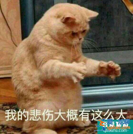 云頂之弈S5賽季上分陣容征服者鐵男推薦，云頂S5賽季上分陣容介紹？