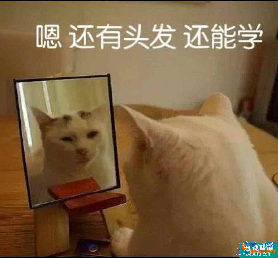 云頂之弈11.8版本推薦陣容天神決斗，云頂11.8版本賽季末沖分陣容介紹？