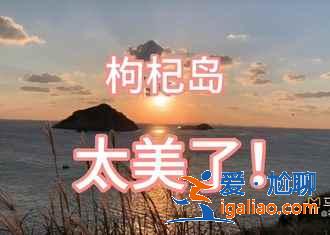 舟山吃海鮮哪里好，細數(shù)舟山靠譜餐廳和美食街？