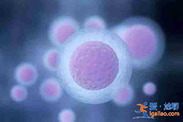 解說一下河南男同找人代懷生孩子？