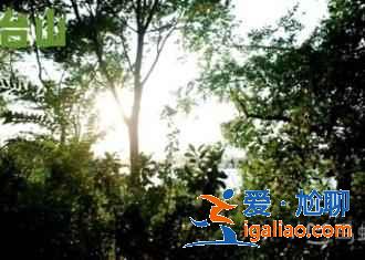 煙臺有哪些好玩的景點(diǎn)，煙臺旅游景點(diǎn)攻略，煙臺好玩嗎？