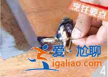 蘆筍炒海紅怎么做？？