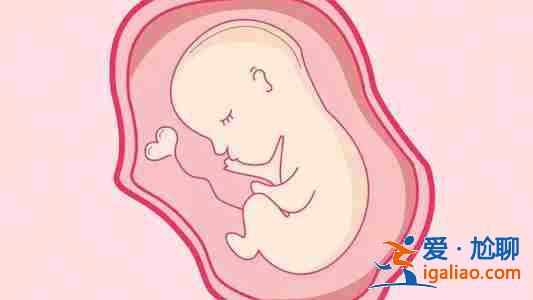 借肚子生孩子價格-幫您圓夢? 借肚子生孩子價格-幫您圓夢?