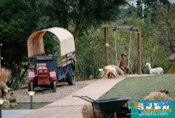 成都麓湖生態城有什么好玩的地方？