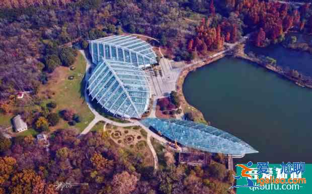 世界地球日南京中山植物園免費(fèi)開(kāi)放及預(yù)約指南 2021南京中山植物園免費(fèi)開(kāi)放時(shí)間？