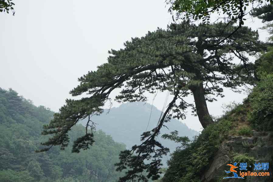 不要錯過以下幾處,才不枉登泰山!? 不要錯過以下幾處,才不枉登泰山!?
